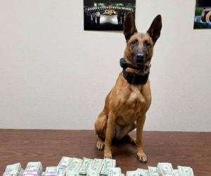 CHP STOPS VEHICLE WITH $165,000