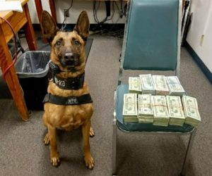 $80,000 WAS IN THE VEHICLE IN SANDWICH BAGS