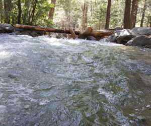 YOSEMITE NATIONAL PARK WILL CLOSE THEIR ENTRANCE