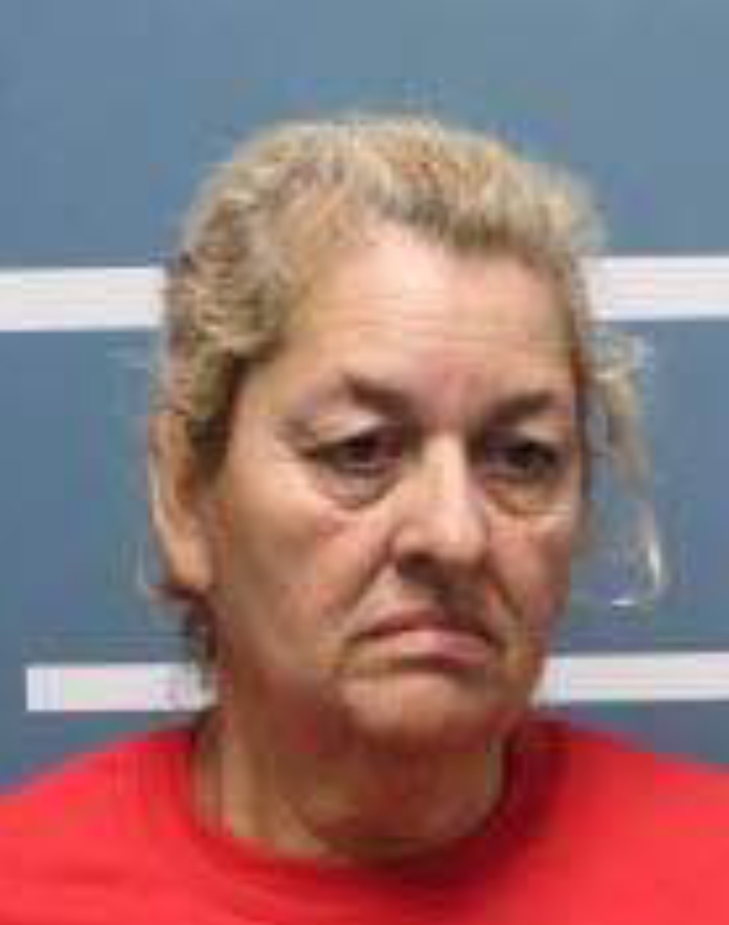 Grandma Busted for Selling Meth Out of Her Home With her Grand Kids Inside