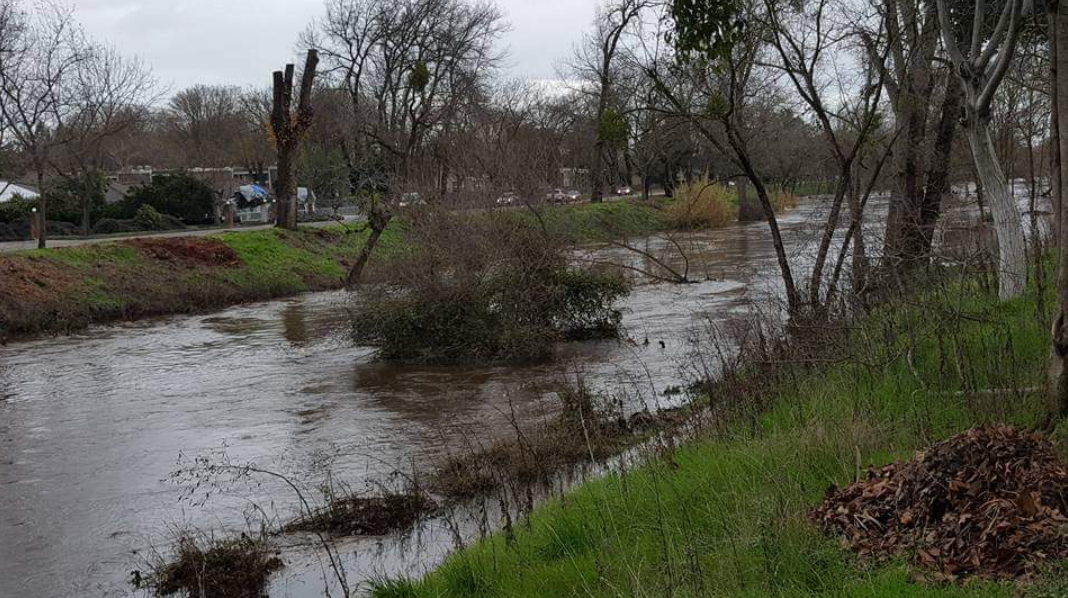 This is how much rain Bear Creek will receive in this storm