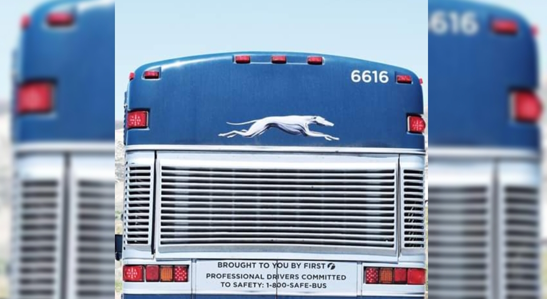 Greyhound bus crashes on Highway 99, injuries reported by CHP