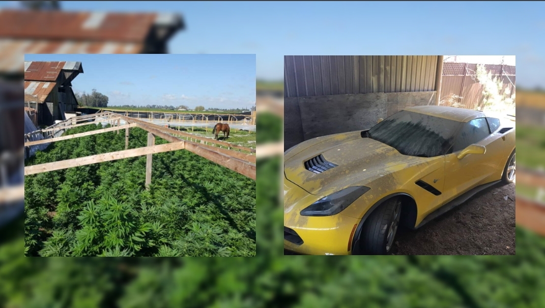 Marijuana, Guns, and a Stolen Sting Ray Corvette recovered by Merced Sheriffs