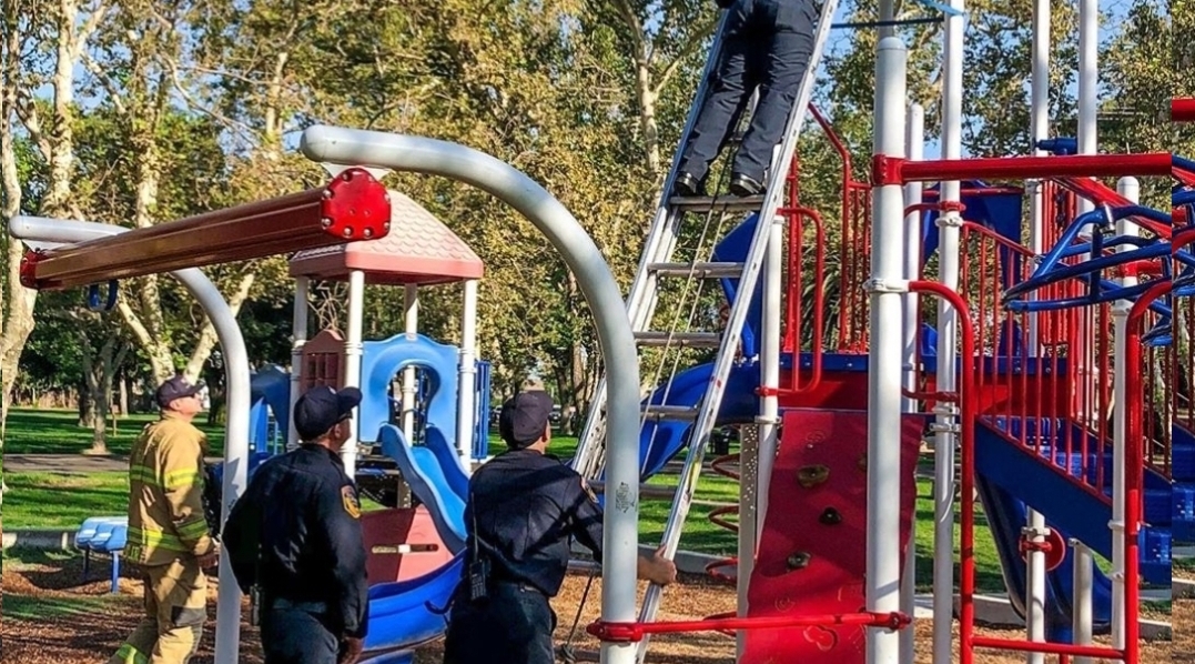 Man climbs park playground equipment, rescued by firefighters