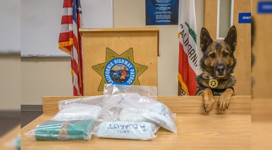 Merced CHP officer and K-9 Beny locate about 30,000 pills, and Cocaine