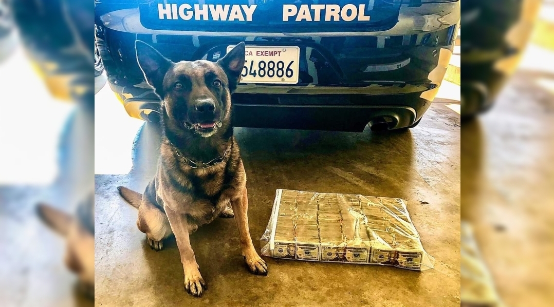 Merced CHP k-9 bruce locates $200,000 hidden in freezer during a traffic stop