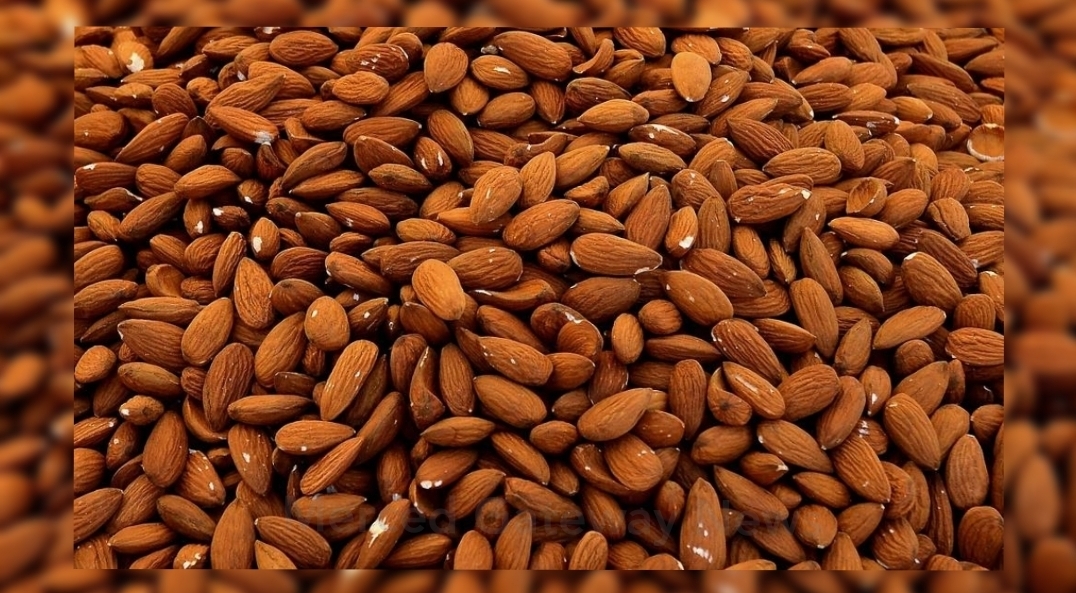 Merced County COVID-19 outbreak confirmed at Almond Processing Facility