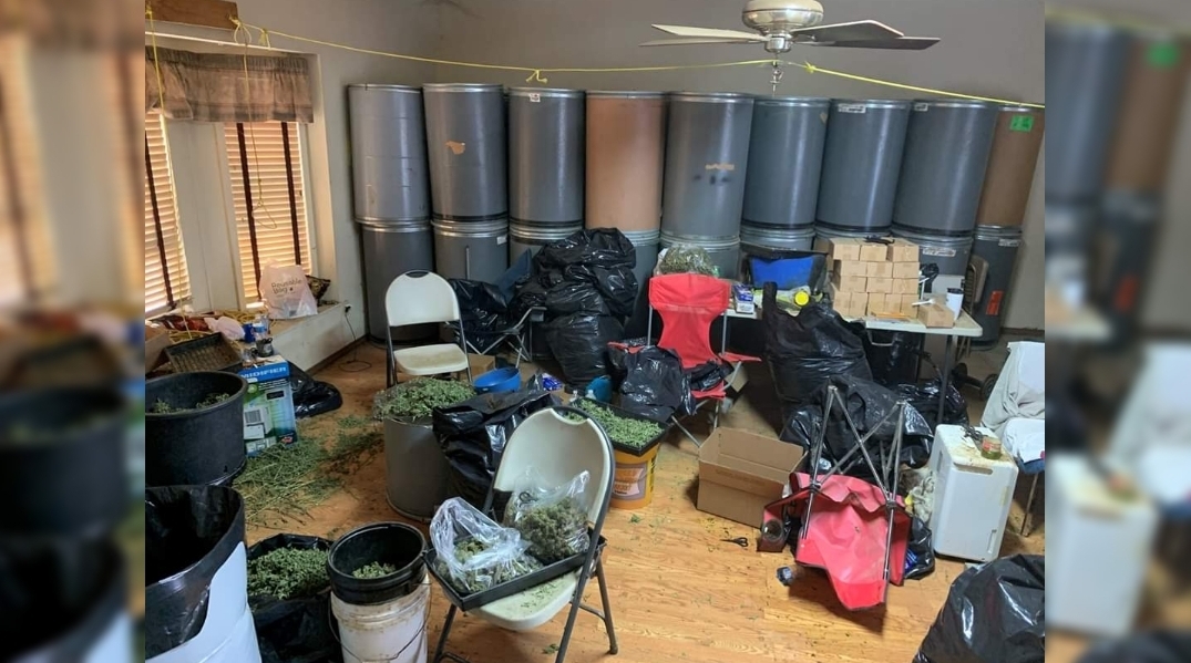Seven people arrested at large Marijuana Processing Center in Livingston