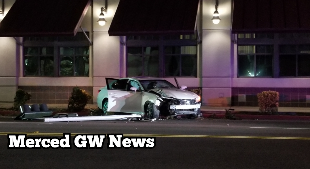 Woman arrested for DUI, she hit a traffic light signal and several bushes