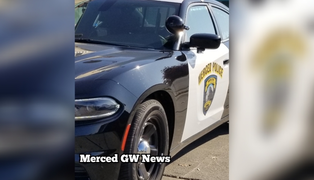 Merced police arrest 19-year-old who was strangling a man in his 50s with a cord