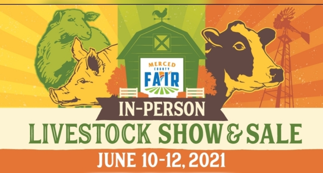 Merced County Fair announces In-Person Livestock Sale this weekend