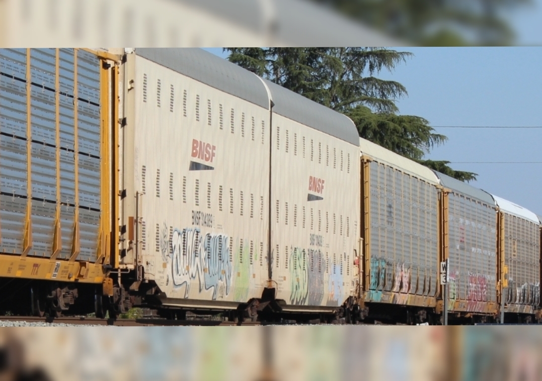 Woman struck and killed by train in Merced County